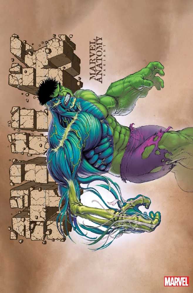 Hulk #11 Marvel Anatomy Lobe Variant