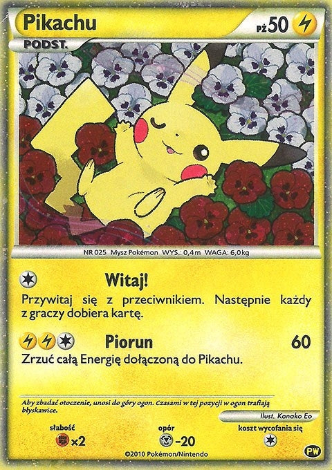 Image for Pikachu (Polish) (PW 8) [Pikachu World Collection Promos] - Pokemon