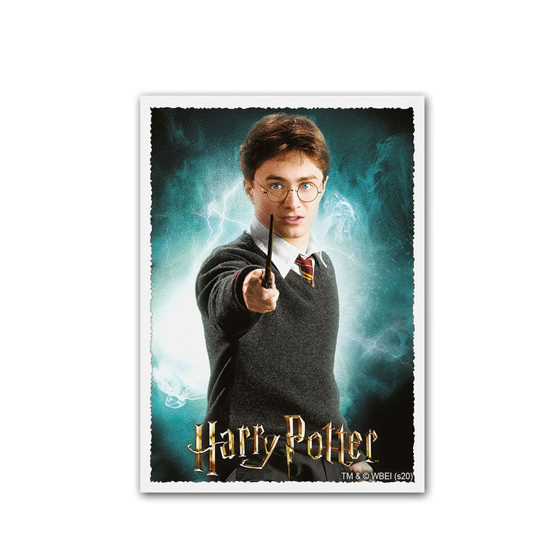 Dragon Shield: Standard 100ct Art Sleeves - Wizarding World (Harry Potter)