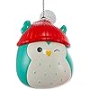 Winston Squishmallows Christmas Ornament
