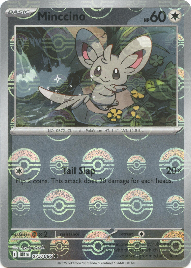Image for Cinccino (Poke Ball Pattern) (076/086) [SV: Black Bolt] - Pokemon