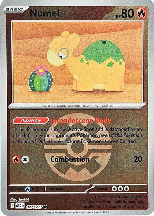 Image for Numel - 027/217 (Quick Ball) (027/217) [ME: Ascended Heroes] - Pokemon