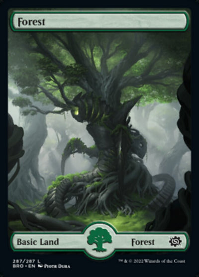 Forest (287) - Full Art (287) (The Brothers' War)
