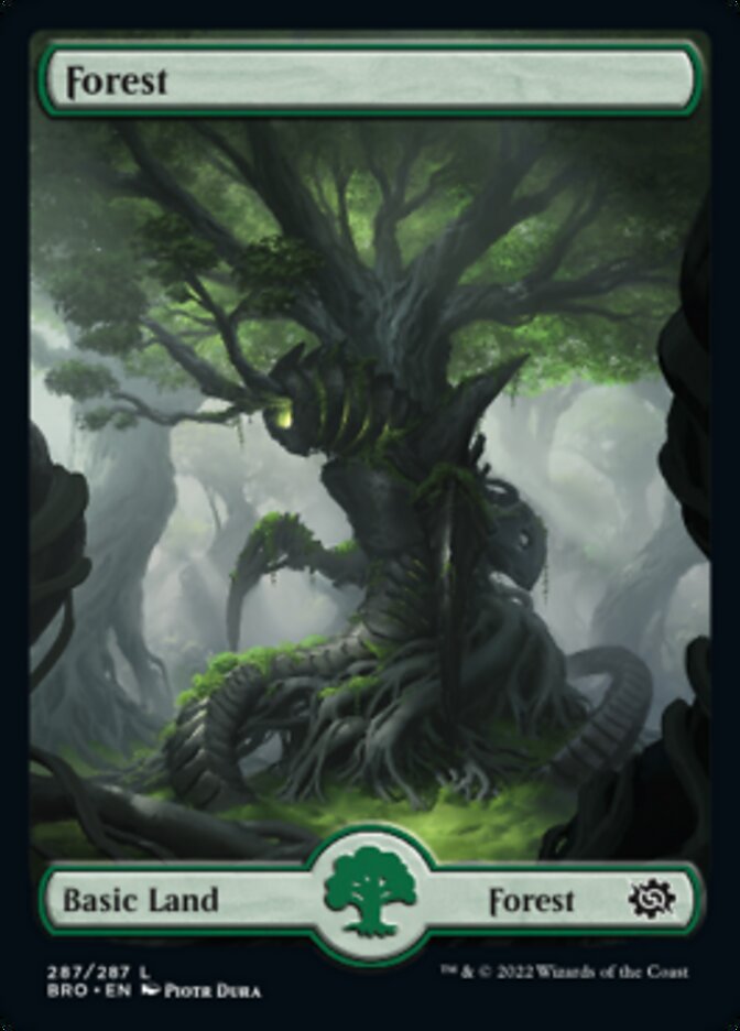 Forest (287) - Full Art (287) (The Brothers' War)