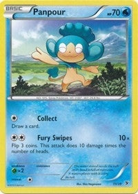 Image for Panpour (11/39) [Kalos Starter Set] - Pokemon