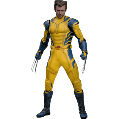 Hot Toys Marvel Sixth Scale Figure – Wolverine (Deluxe Version) 1:6 Scale Collectible Figure
