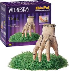 Wednesday - Thing Chia Pet