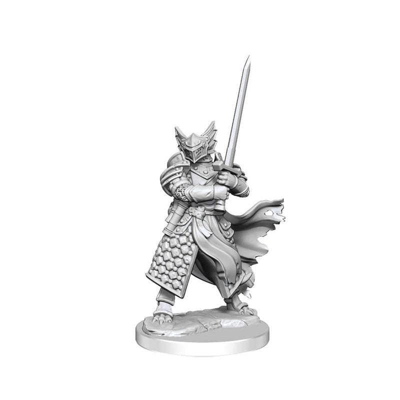 Dungeons & Dragons Frameworks Dragonborn Paladin Male - Inner Nerd